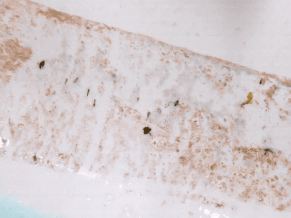 Ảnh bìa bài viết 545742