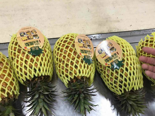 Ảnh bìa bài viết 545768