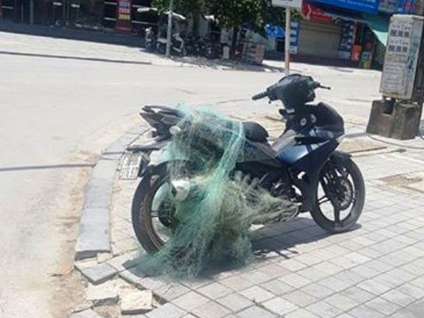 Ảnh bìa bài viết 546609