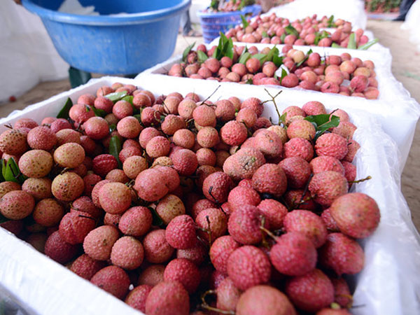 Ảnh bìa bài viết 546891