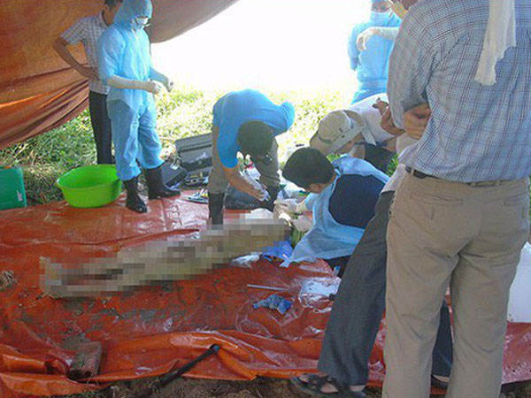 Ảnh bìa bài viết 547263