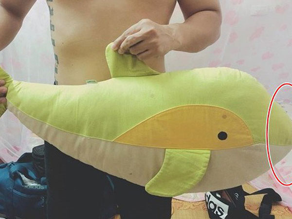 Ảnh bìa bài viết 547453