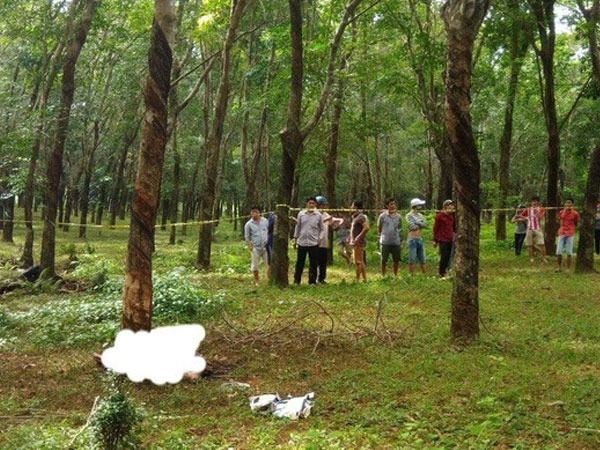 Ảnh bìa bài viết 552251