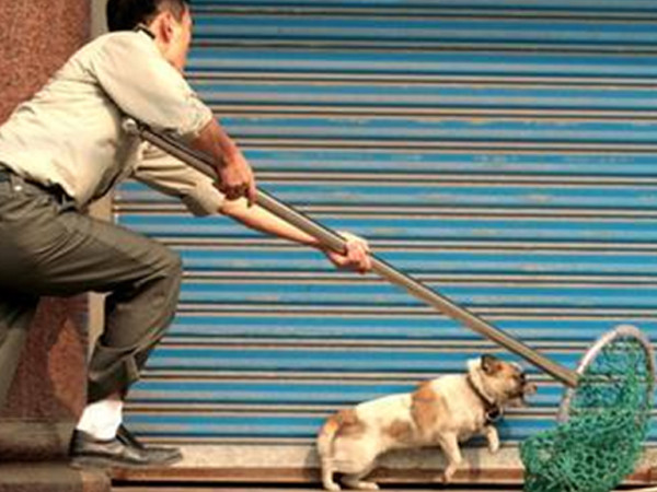 Ảnh bìa bài viết 552380