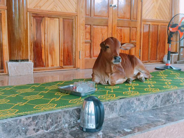 Ảnh bìa bài viết 552320