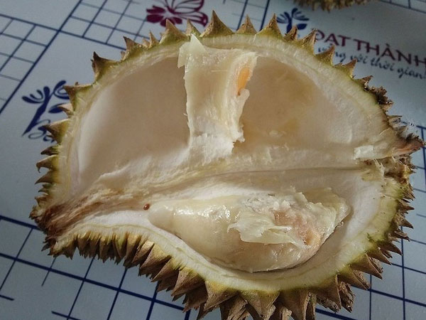 Ảnh bìa bài viết 552937