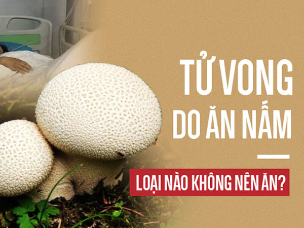 Ảnh bìa bài viết 553219