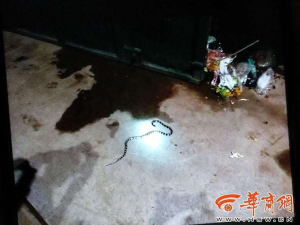 Ảnh bìa bài viết 553335