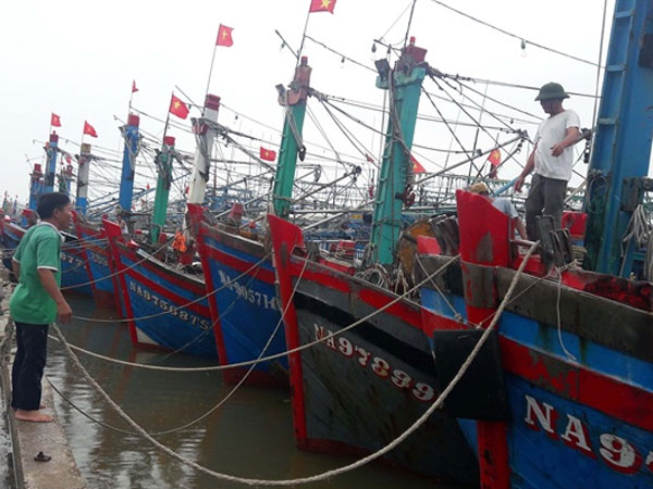 Ảnh bìa bài viết 553392