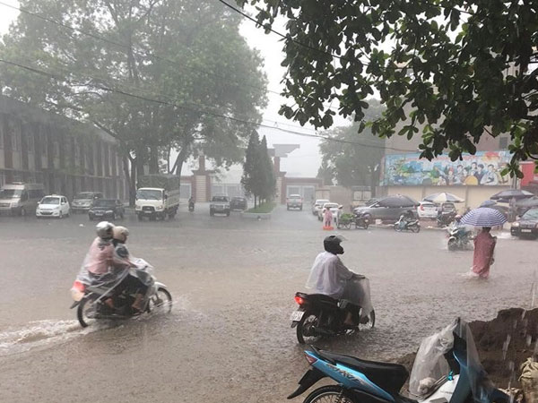 Ảnh bìa bài viết 553898