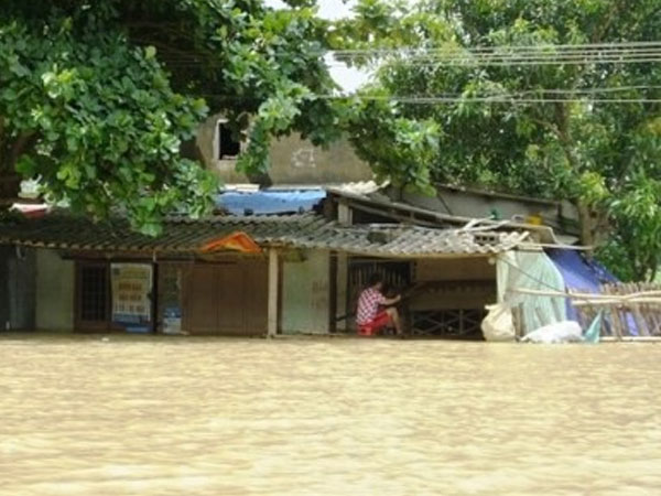 Ảnh bìa bài viết 554391