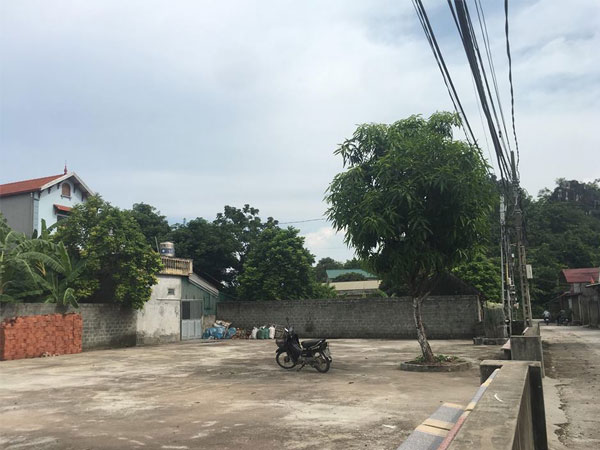 Ảnh bìa bài viết 555281