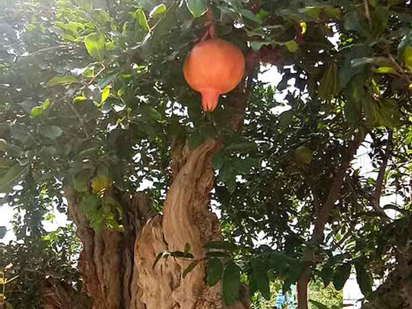 Ảnh bìa bài viết 555783