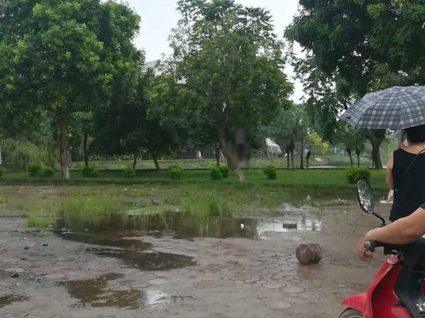 Ảnh bìa bài viết 557152