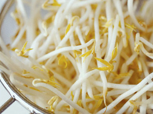 Ảnh bìa bài viết 557268