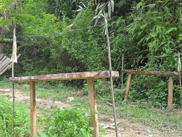 Ảnh bìa bài viết 557415