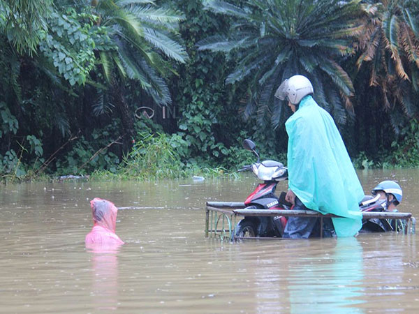 Ảnh bìa bài viết 557447