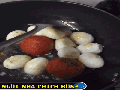Ảnh bìa bài viết 558310