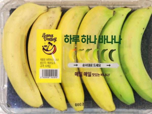 Ảnh bìa bài viết 558364