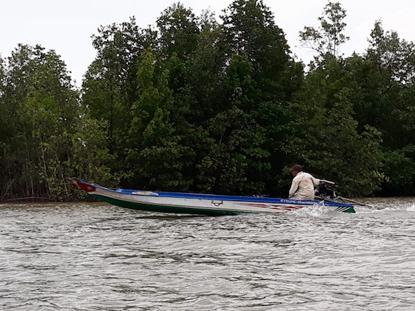 Ảnh bìa bài viết 559330