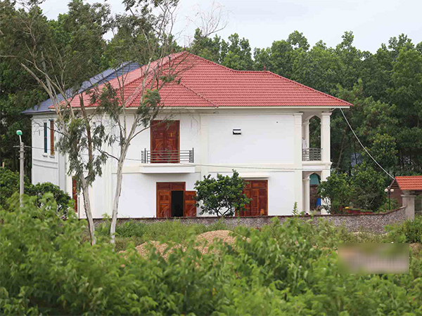 Ảnh bìa bài viết 560755