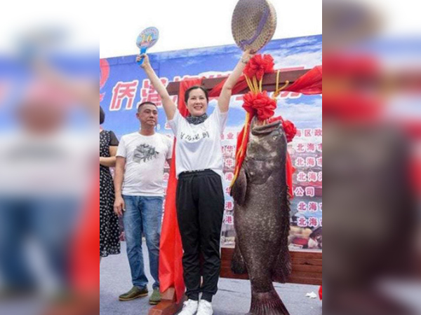 Ảnh bìa bài viết 561078