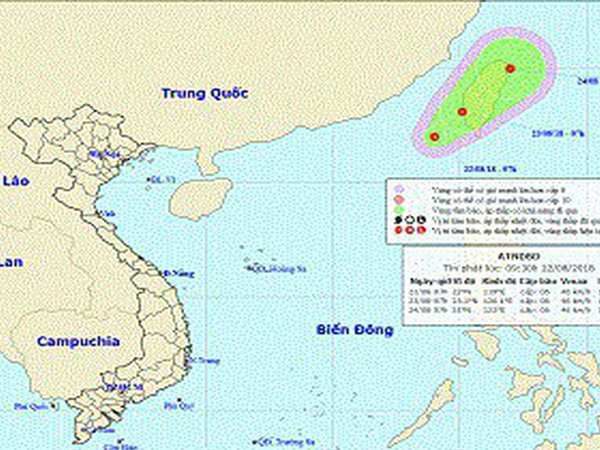 Ảnh bìa bài viết 561176