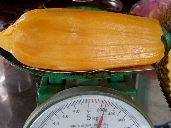 Ảnh bìa bài viết 561616