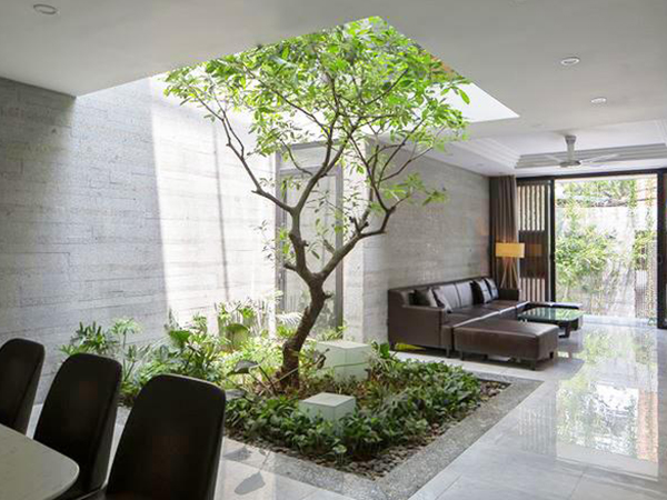 Ảnh bìa bài viết 564085