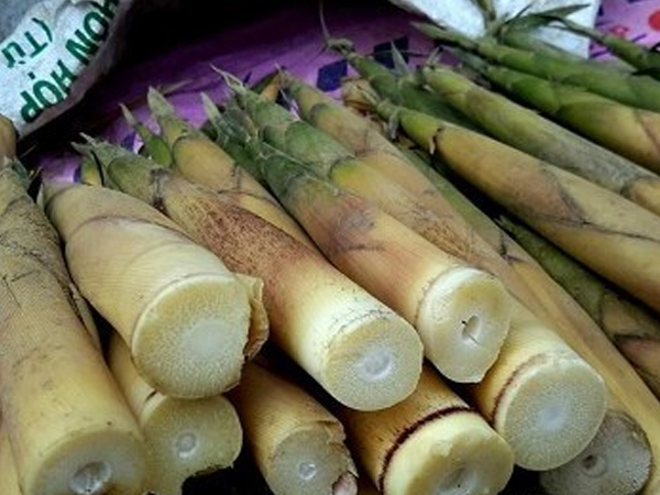 Ảnh bìa bài viết 564255
