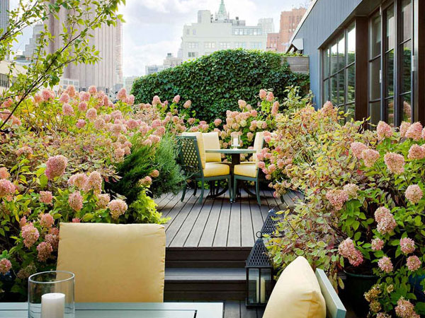 Ảnh bìa bài viết 564819