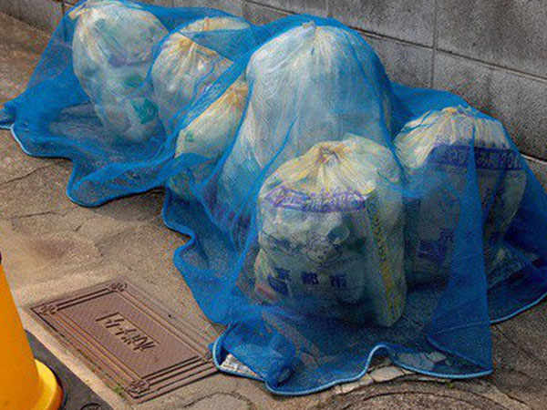 Ảnh bìa bài viết 565413
