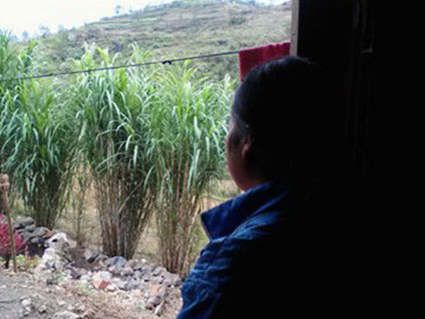 Ảnh bìa bài viết 566384