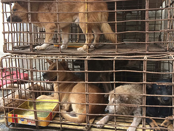 Ảnh bìa bài viết 566461