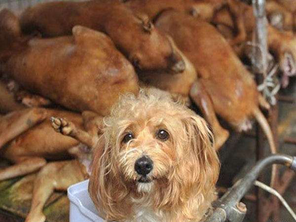 Ảnh bìa bài viết 566748