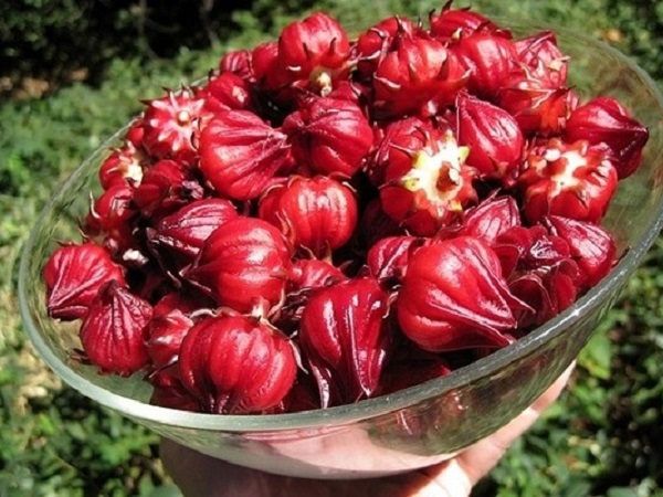 Ảnh bìa bài viết 568144