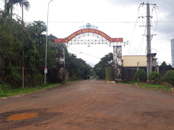 Ảnh bìa bài viết 569071