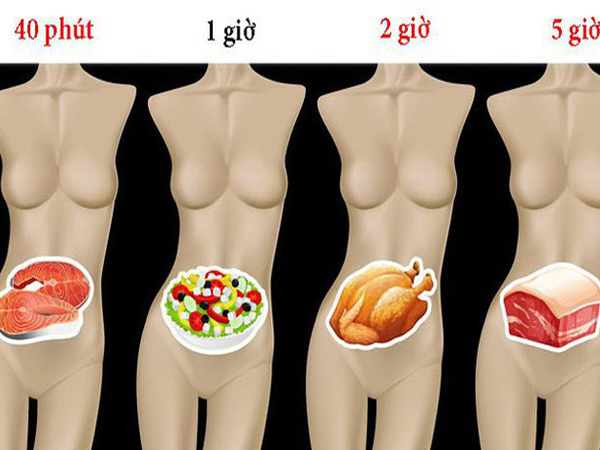 Ảnh bìa bài viết 570468