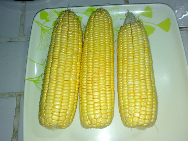 Ảnh bìa bài viết 570797