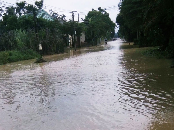 Ảnh bìa bài viết 571107