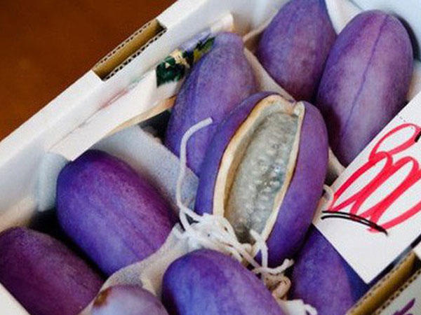 Ảnh bìa bài viết 571085