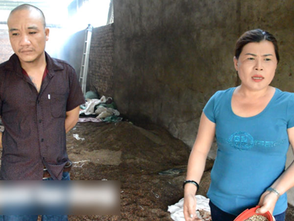 Ảnh bìa bài viết 572172