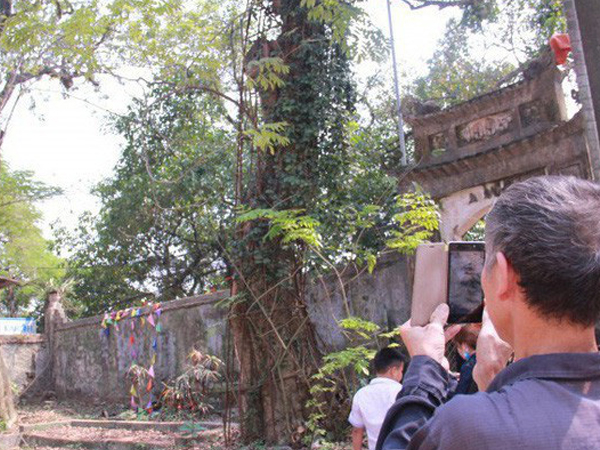Ảnh bìa bài viết 572486