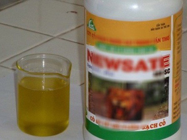 Ảnh bìa bài viết 573968