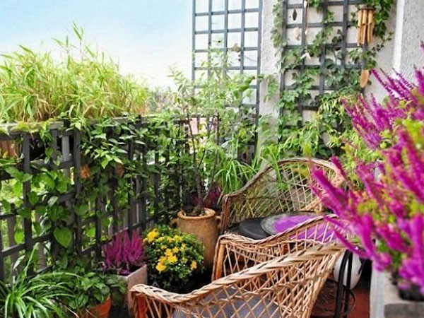 Ảnh bìa bài viết 574068