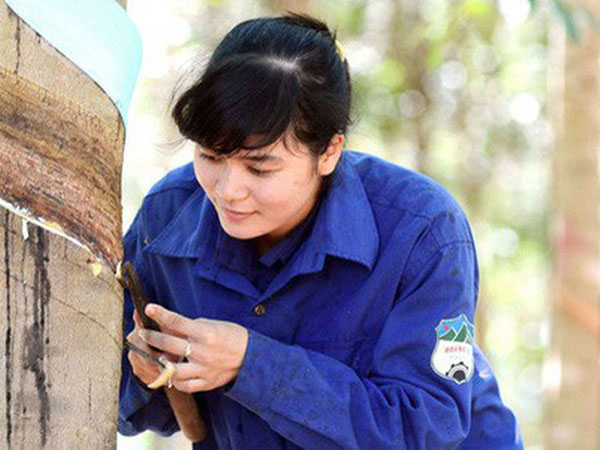 Ảnh bìa bài viết 574234