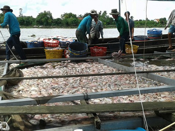 Ảnh bìa bài viết 574855