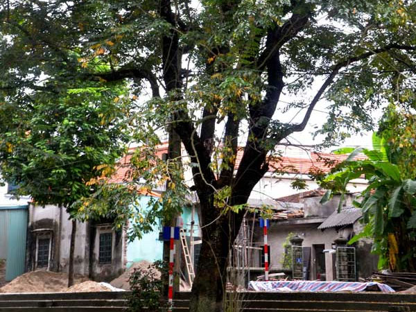 Ảnh bìa bài viết 575438