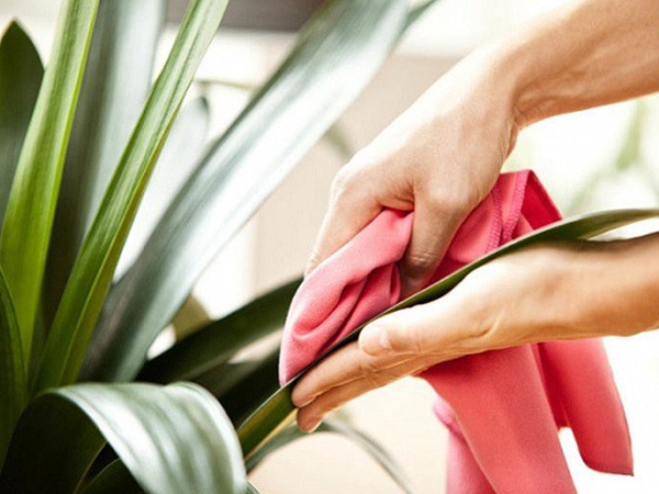 Ảnh bìa bài viết 575779