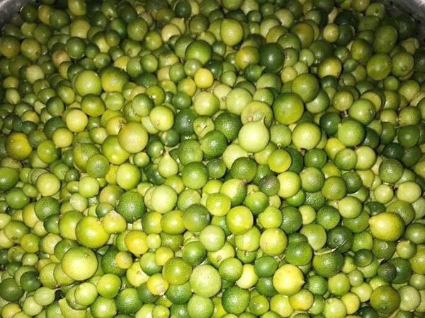 Ảnh bìa bài viết 575941